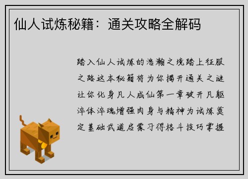 仙人试炼秘籍：通关攻略全解码