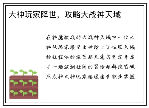 大神玩家降世，攻略大战神天域