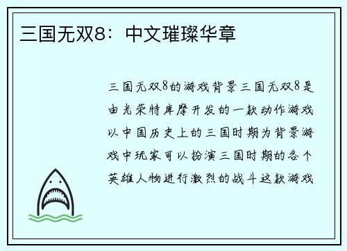 三国无双8：中文璀璨华章