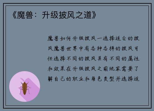 《魔兽：升级披风之道》